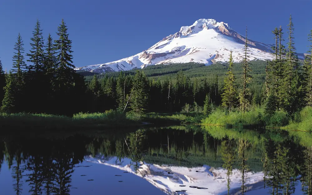 Mount Hood above the Oregon landscape, illustrating umbrella liability coverage for Oregon households